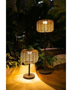 Solar lamp Wingerd op pootje 55 cm