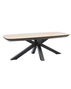 Tuintafel Aster houtlook 220x100 cm