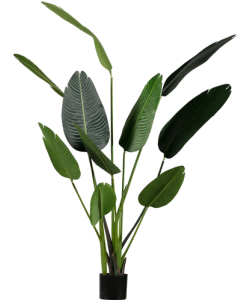 Künstliche Pflanze Strelitzia 164 cm